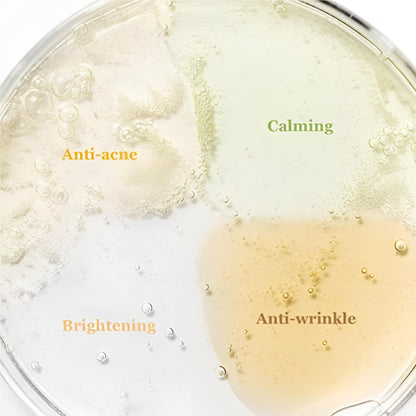 Lot de 4 sérums Beauty of Joseon